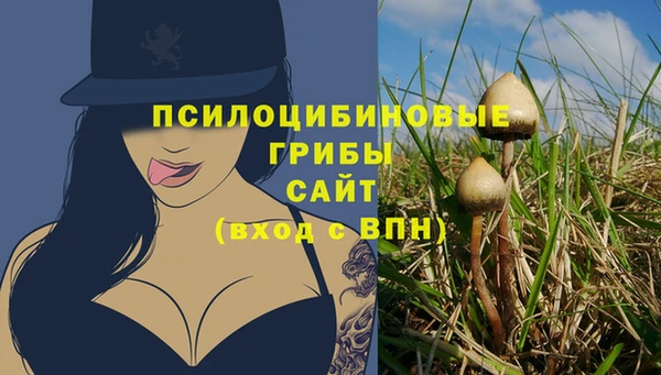 мяу мяу мука Балабаново