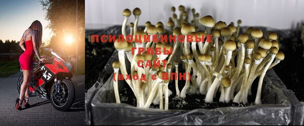 мяу мяу мука Балабаново