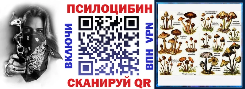 KRAKEN   Котельниково  Галлюциногенные грибы ЛСД 